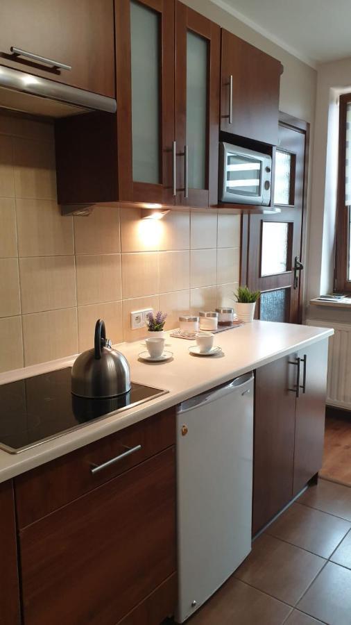 Kaizen Apartament Krynica-Zdrój Exteriér fotografie